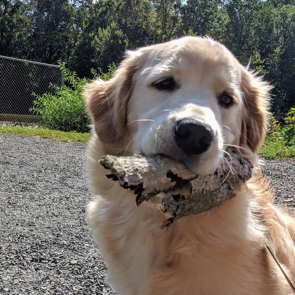 Meet your Posher, Quake - Picture 1 of 1